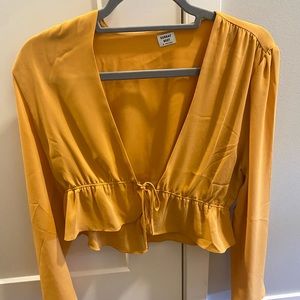 Aritzia Cropped Blouse